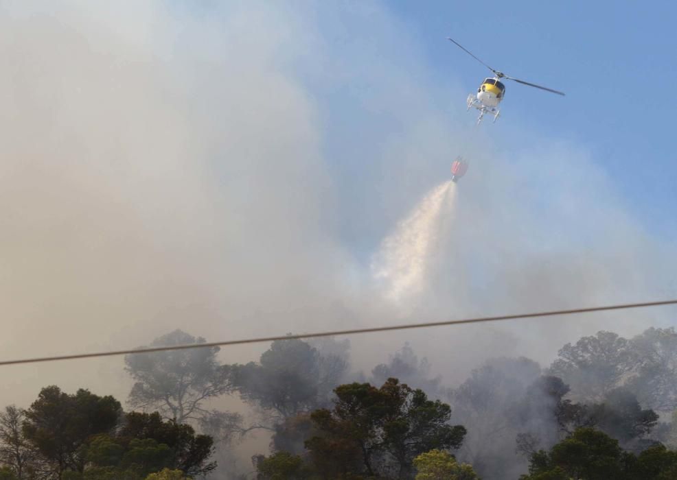 Efectivos y vecinos apagando el fuego