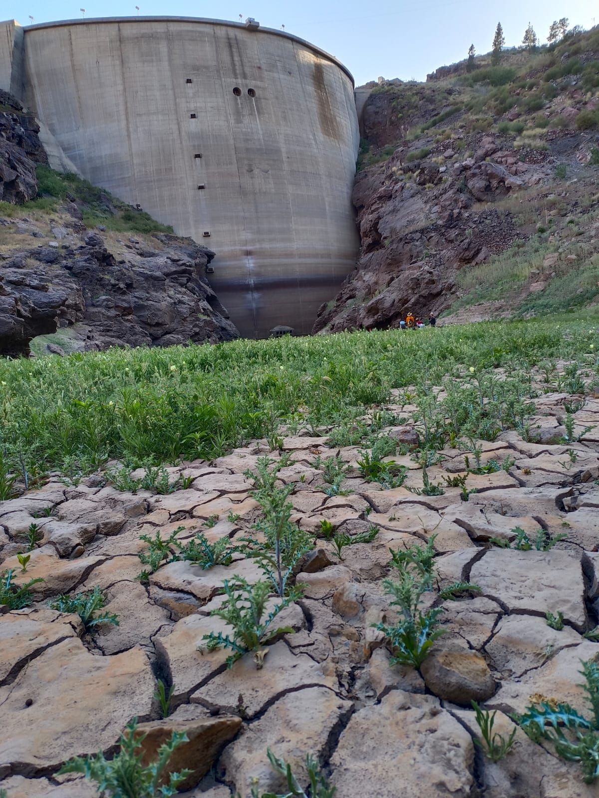 Activistas denuncian el vaciado de la Presa de Soria