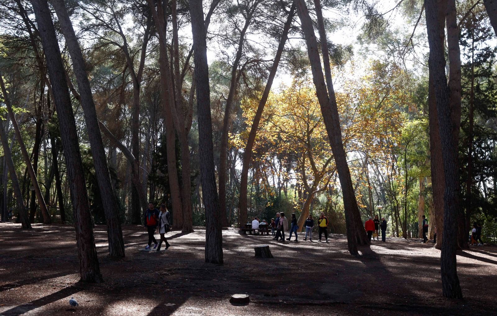 Parque de San Vicente, Lliria con colores otoñales.