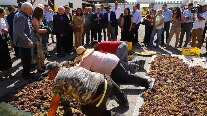 Visita de los ministros de Agricultura de la UE al marco vitivinícola de Montilla-Moriles