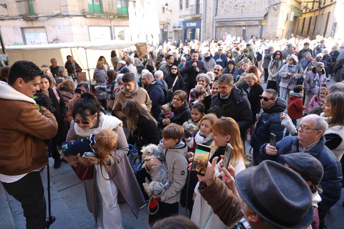 Fotogalería | Así se ha vivido la bendición de las mascotas cacereñas por San Antón