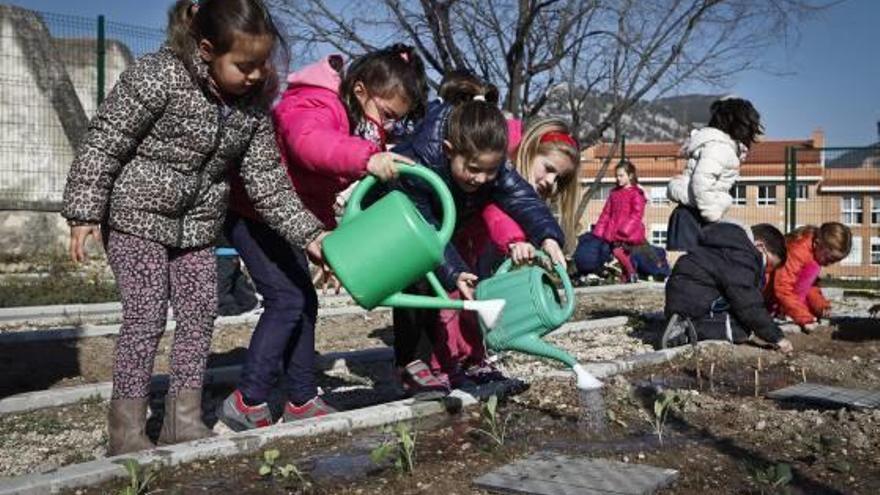 Agricultura para reforzar el aprendizaje