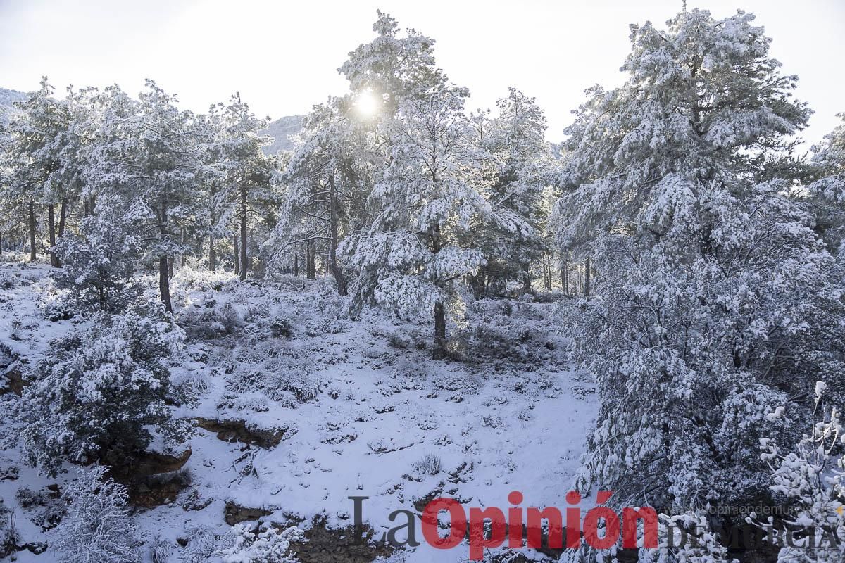 Descubre dónde queda acumulación de nieve en la Región de Murcia