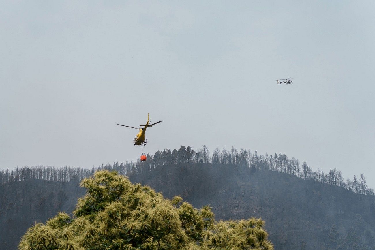 Así ha quedado el monte de Tenerife por el incendio