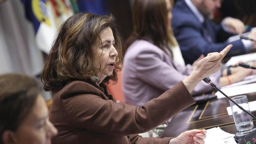 Matilde Asián exige 1.600 millones a Moncloa y garantiza el blindaje del AIEM hasta 2027