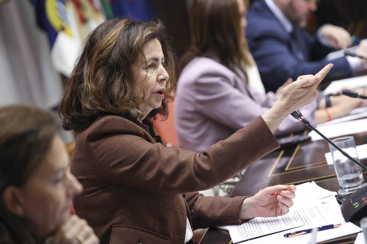 La consejera Matilde Asián durante su intervención en la comisión del Parlamento.