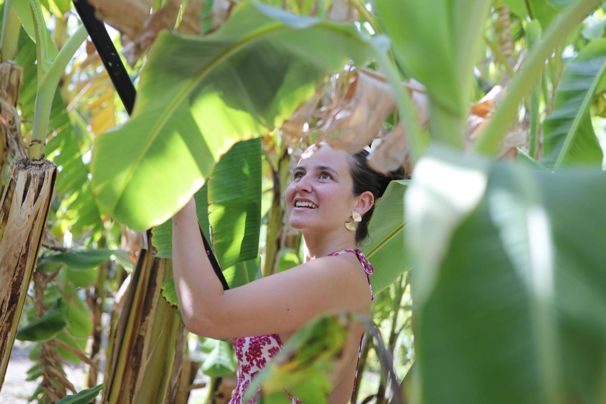 Kika Márquez bei der Bananen-Ernte für den Eigenbedarf.