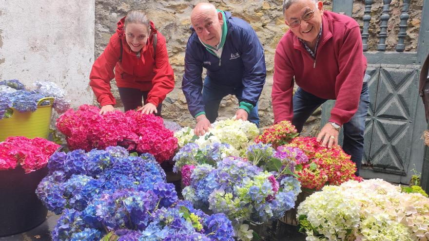 Castropol se llena de flores: Así son los días previos a la gran cita del Corpus Christi