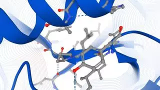 Revolución en la investigación biomédica: una IA de Google logra descifrar todas las moléculas de la vida