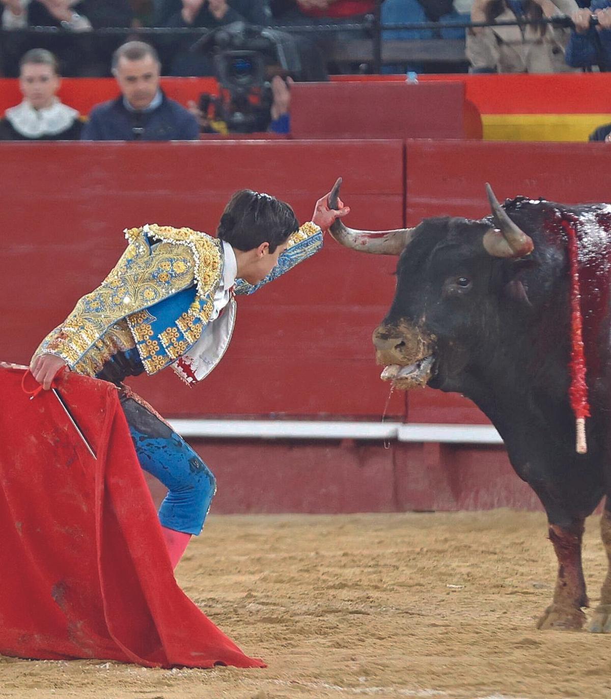 Marco Perez, en un desplante en Valencia, en la Feria de Fallas.