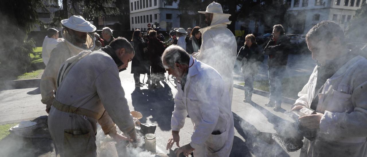 EN IMÁGENES: Así fue la protesta de un grupo apicultores asturianos en Oviedo: "Nos hunden los precios"