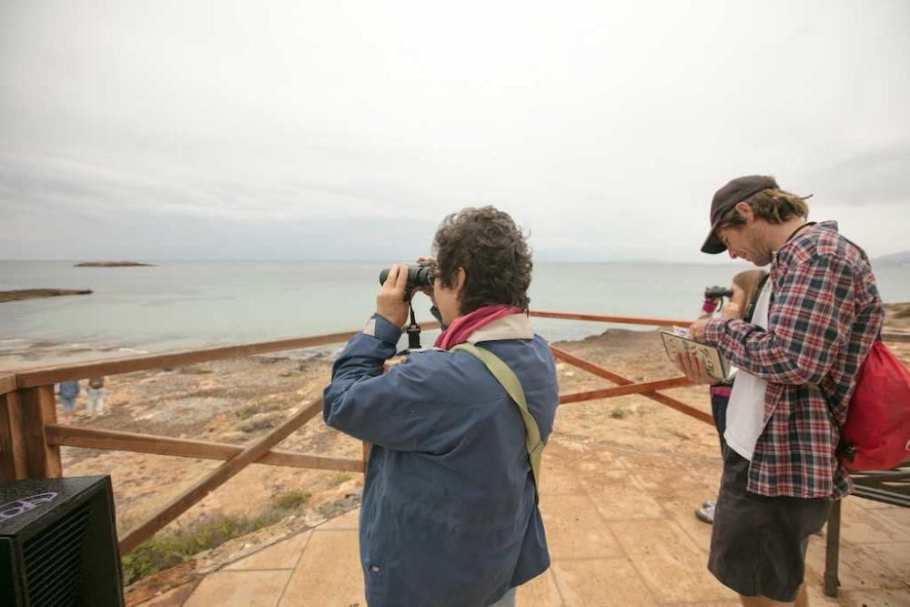 Día de las aves en es Carnatge