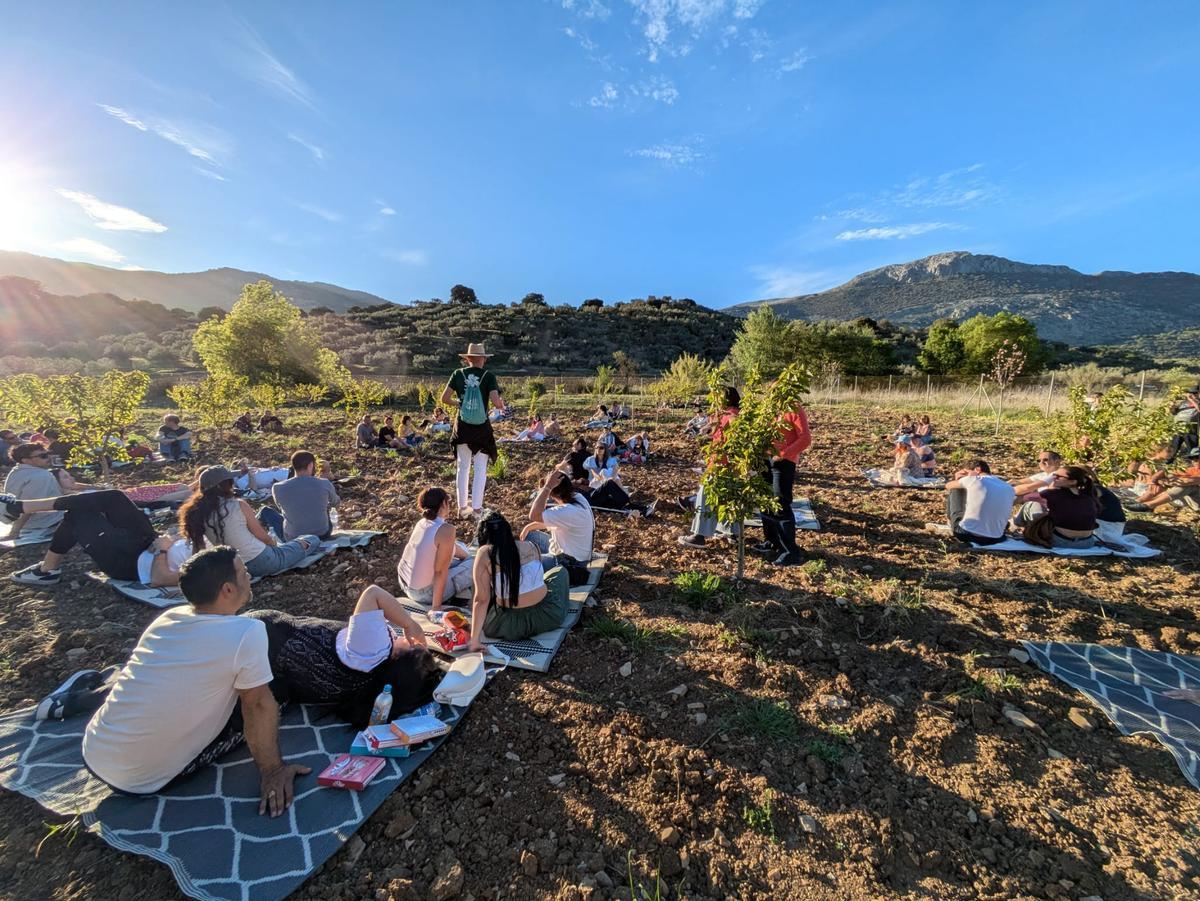 Sakura Fusion realiza diversas actividades de turismo sostenible en Alfarnate alrededor del cerezo.