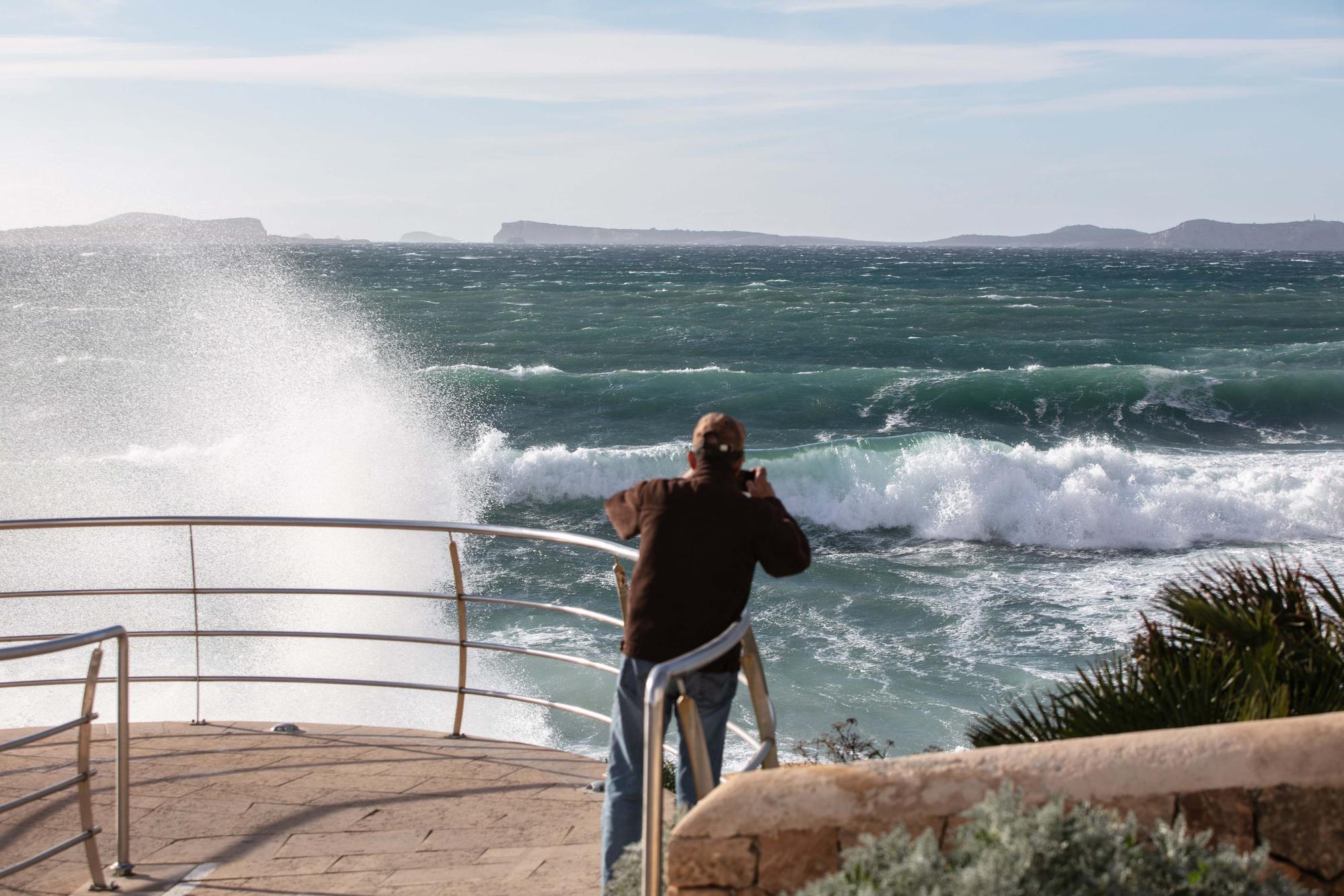 El vendaval tumba árboles y provoca la suspensión de los ferris entre Ibiza y Formentera