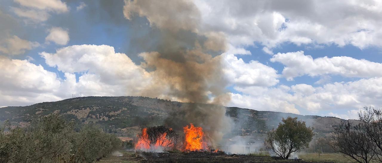 El incendio en el que ha fallecido un octogenario de Pinoso.