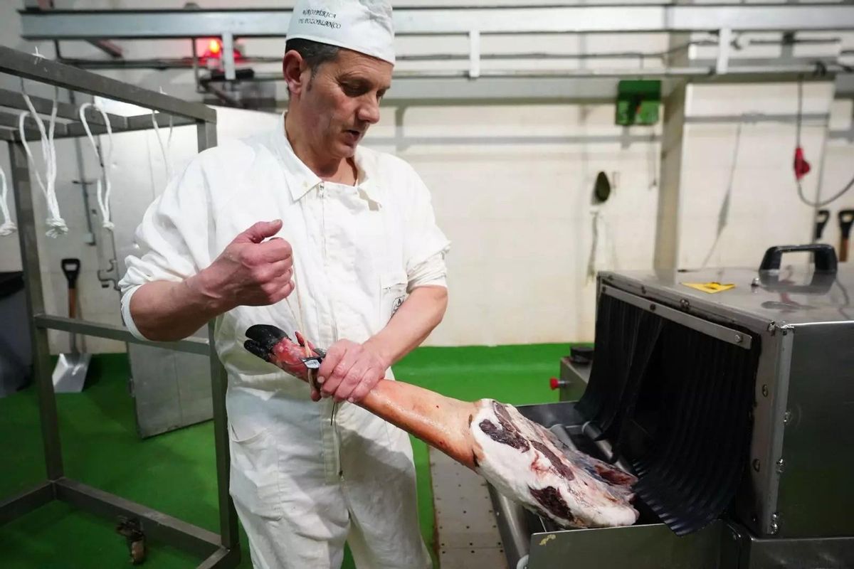 Las piezas de carne se van curando en las distintas fases.
