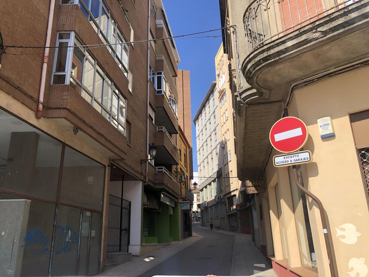 Clavellinas en Cáceres.