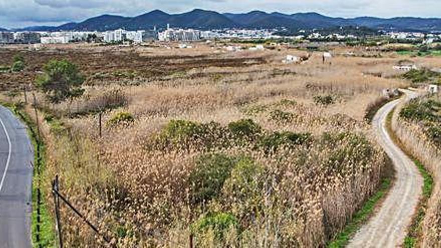 Vista aérea de parte de ses Feixes des Prat de ses Monges, en Talamanca.