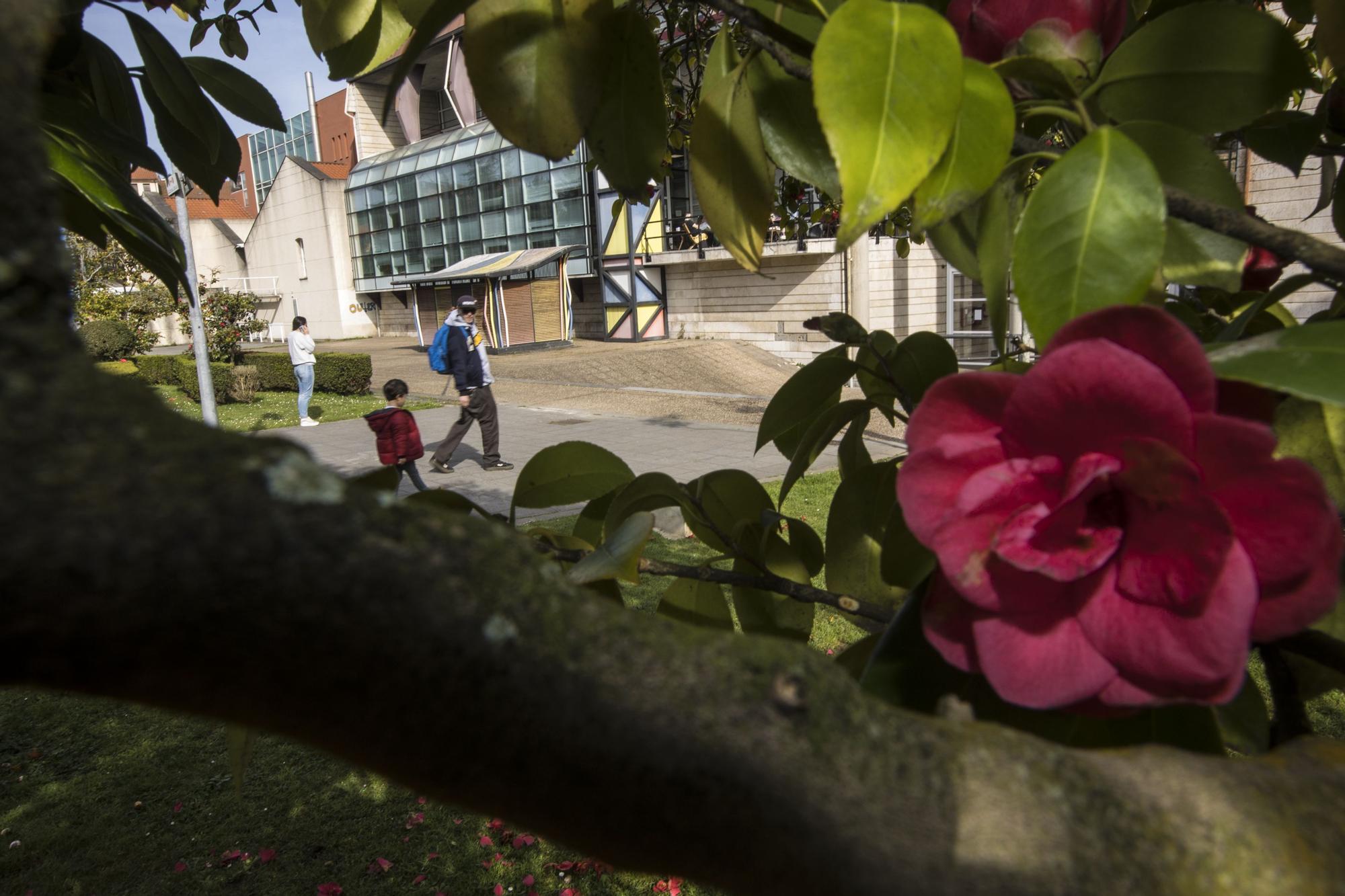 La primavera ya está llegando y así se deja notar en Avilés