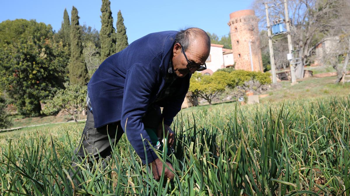 Oposición vecinal y ecologista a la construcción de 4.800 pisos en una zona verde Gavà