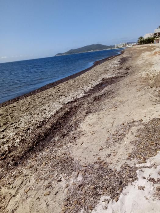 Zona de Platja d'en Bossa perteneciente a Vila