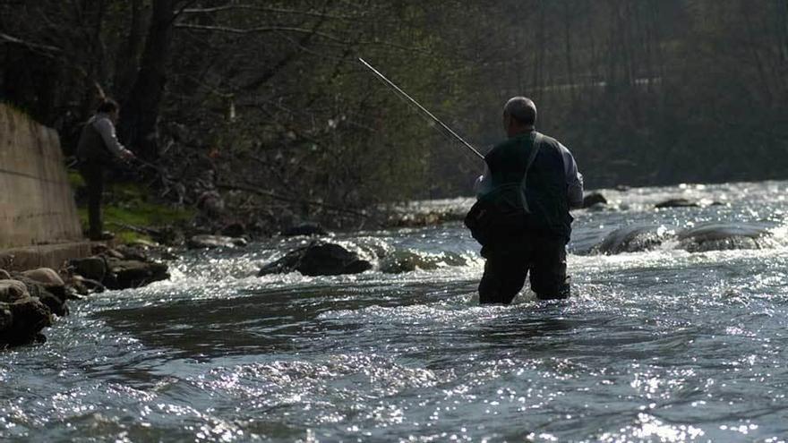 Un pescador en las aguas del río Caudal.