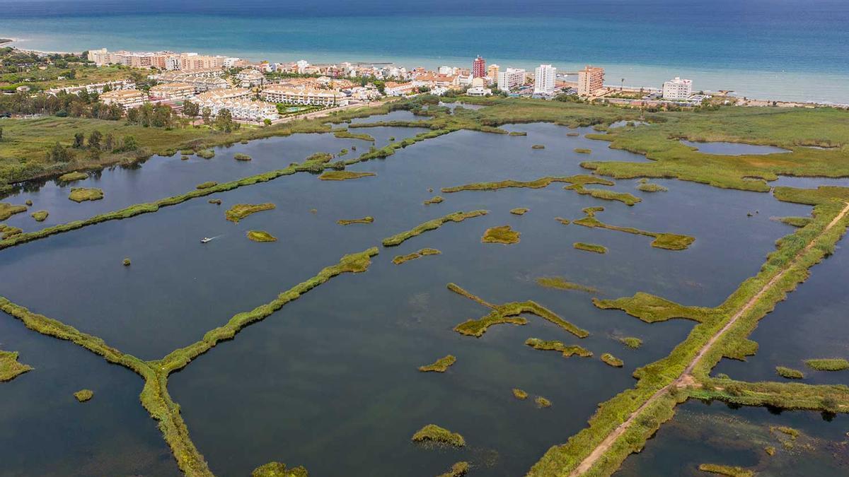 Foto aérea de una marjal en el parque natural del Prat de Cabanes-Torreblanca.