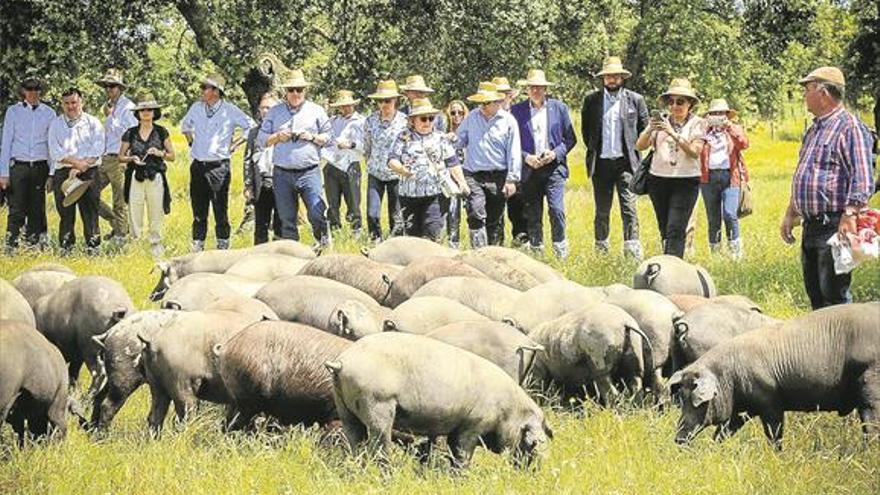 Ortiz pide que la UE reconozca la singularidad de la dehesa