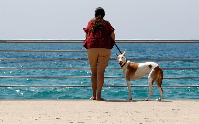 Los 10 destinos favoritos de los valencianos que han pedido el Bono Viaje