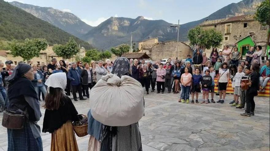 Les trementinaires i el coneixement sobre herbes guaridores prenen la vall de la Vansa i Tuixent