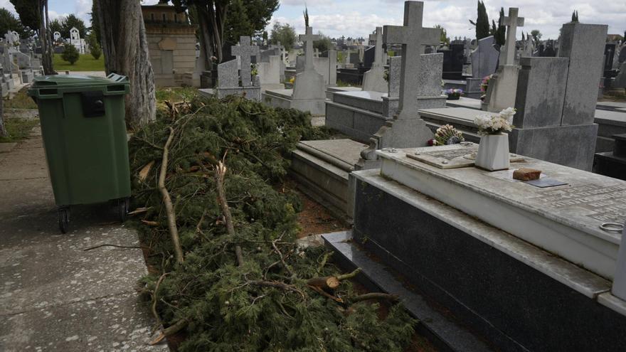 Los importantes daños del temporal en el Cementerio de Zamora