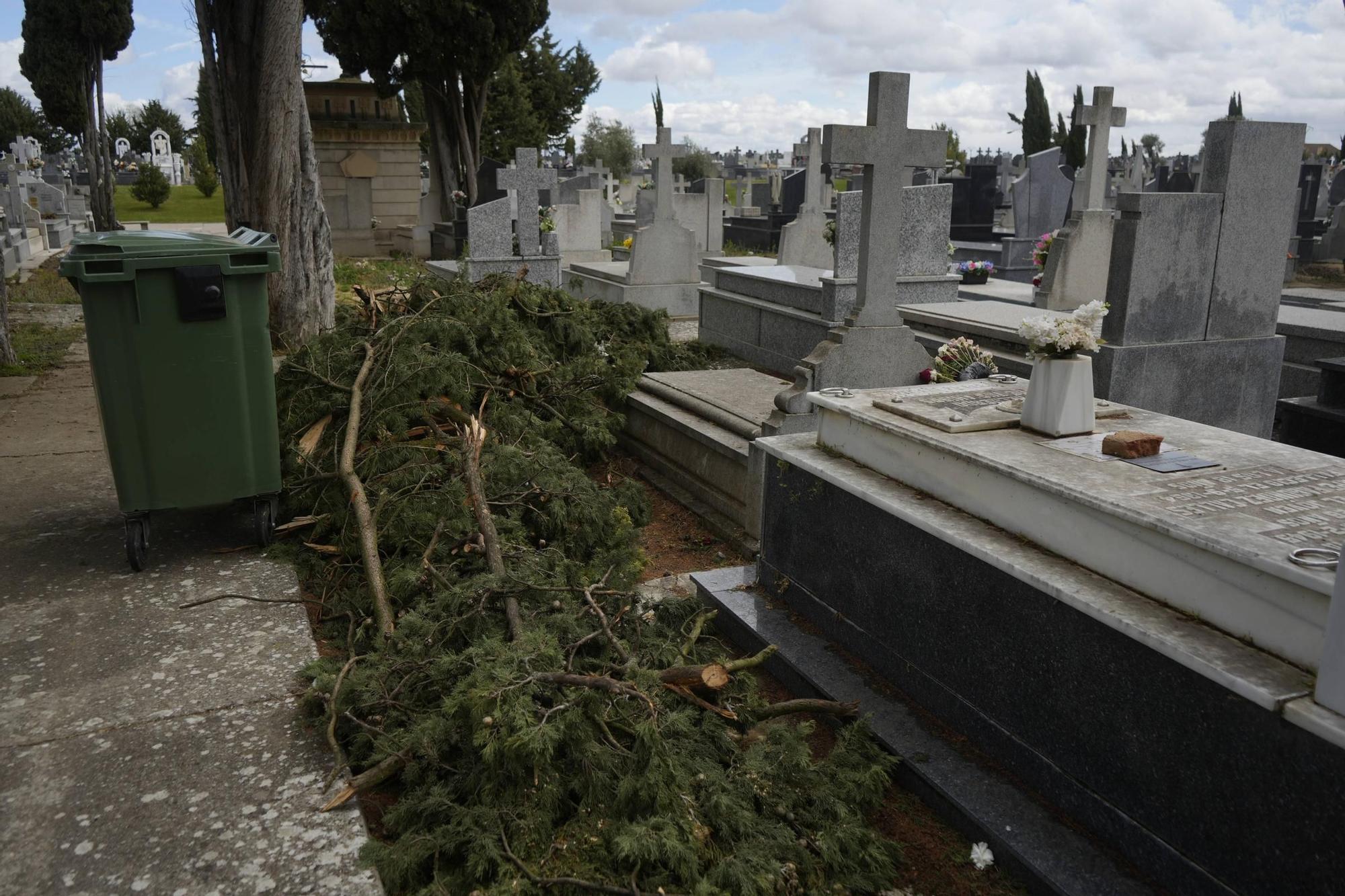 Los importantes daños del temporal en el Cementerio de Zamora