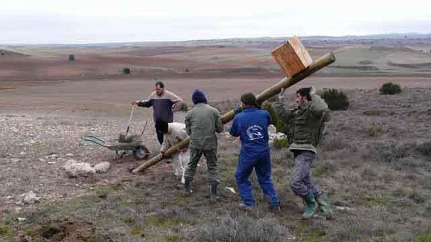 Voluntarios de Grefa levantan un poste con una caja nido para cernícalos vulgares.