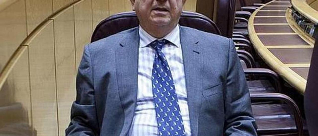 Iñaki Anasagasti en su escaño del Parlamento vasco. // FDV