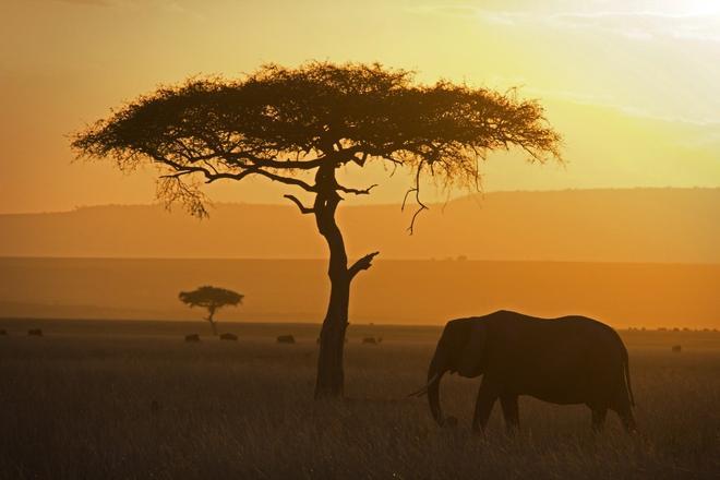 Kenia, puesta de sol
