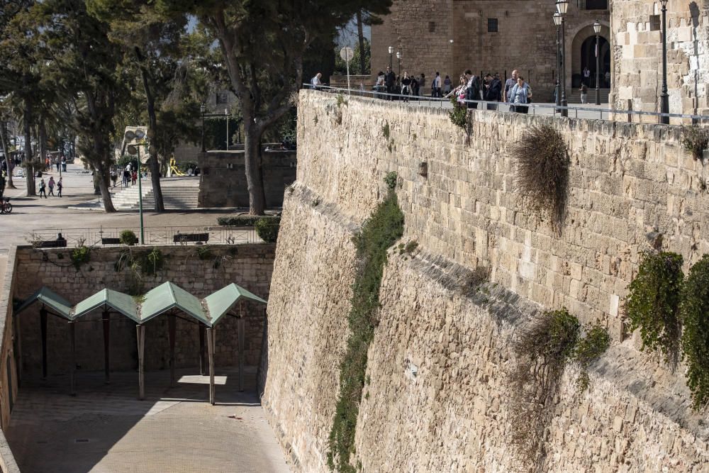 Una mujer extranjera muere al precipitarse desde el muro de la Seu de Palma