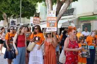 Galería: Movilización en Ibiza para exigir el cumplimiento de la ley que regula la gestión de colonias felinas