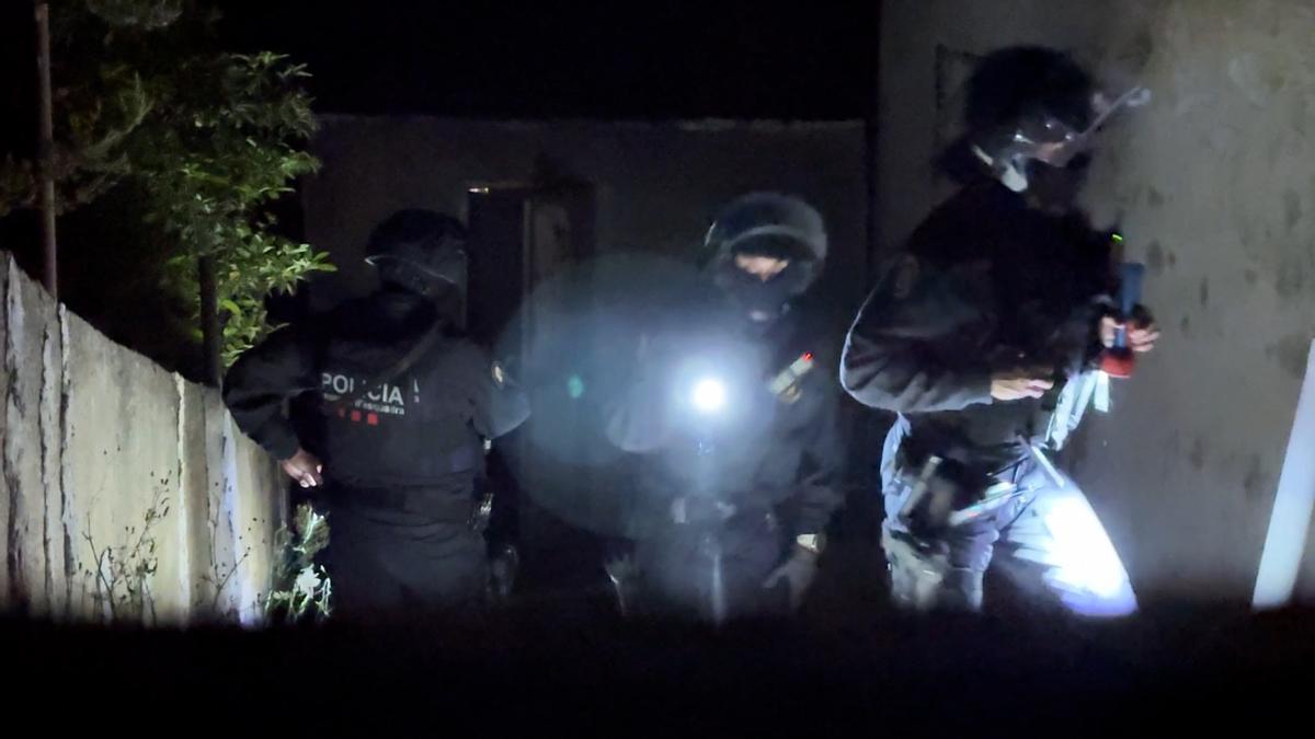 Les imatges del dispositiu policial contra una organització criminal especialitzada en el cultiu de marihuana i el blanqueig de capitals