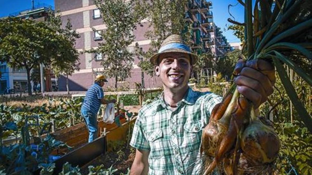 Jardín comestible Marc Estévez Casabosch en el huerto de Rambla de Porta (calle de Pi i Molist con Maladeta), en Barcelona, este jueves.