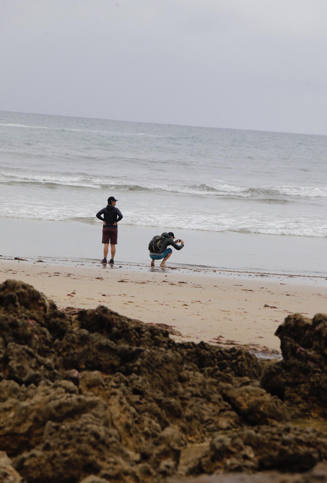 Así es Torimbia, la playa en la que a veces toca taparse