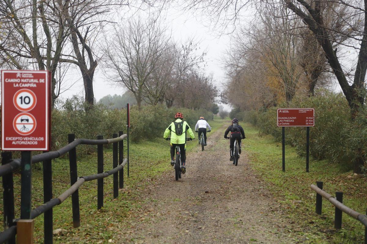 Un grupo de ciclistas en la Vía Verde de la Campiña.