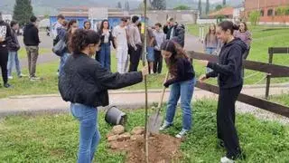 El "árbol de la princesa" recordará a la última promoción de bachilleres del César Rodríguez:  "Inician nuevos caminos, pero dejan sus raíces aquí"