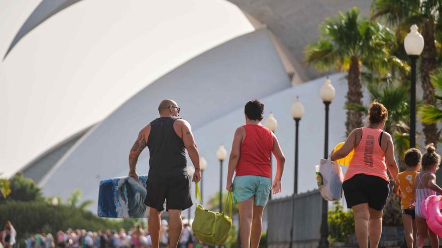 Un detalle de la última ola de calor que afectó a Canarias la pasada semana.