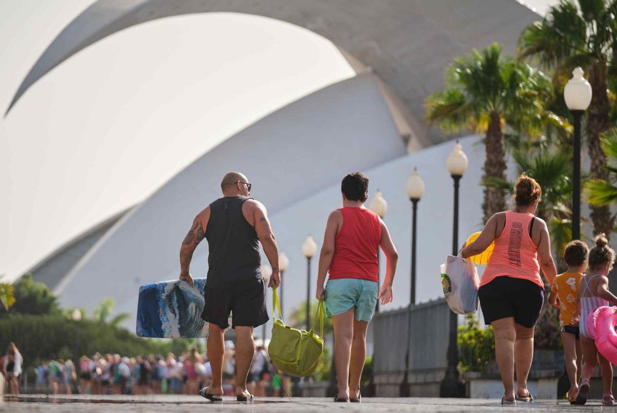 Un detalle de la última ola de calor que afectó a Canarias la pasada semana. | | CARSTEN W. LAURITSEN