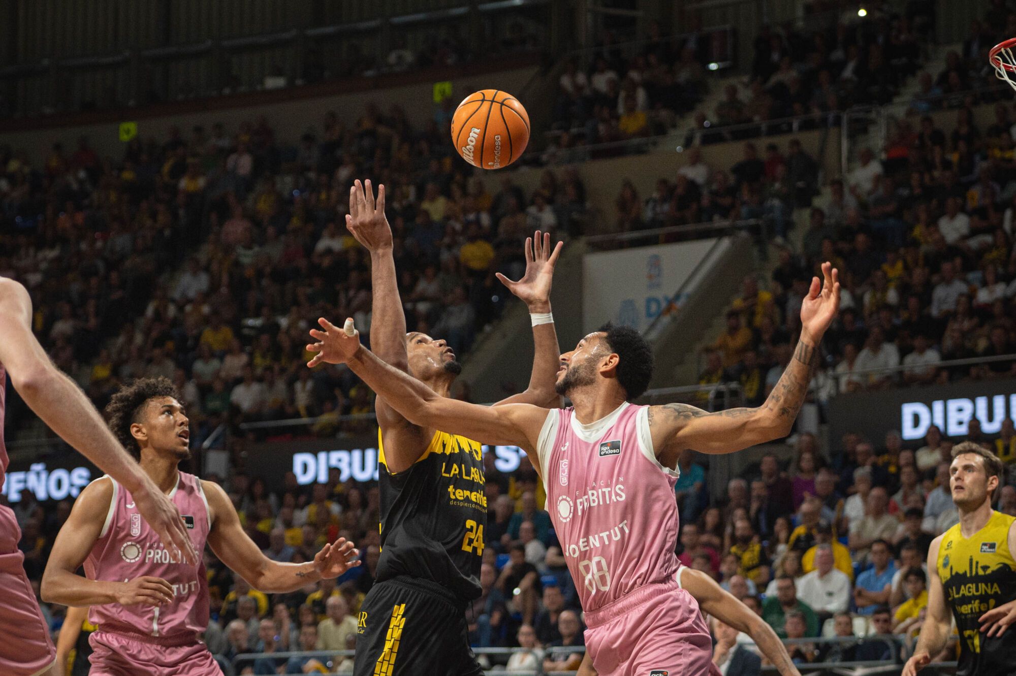 Partido La Laguna Tenerife CB Canarias - Joventut Badalona Inicio de playoff de Liga Endesa Quedarse hasta el fina porque en caso de derrota podría ser el último partido en casa esta temporada  | 02/06/2025 | Fotógrafo: Rafael Arturo Jiménez Rivero
