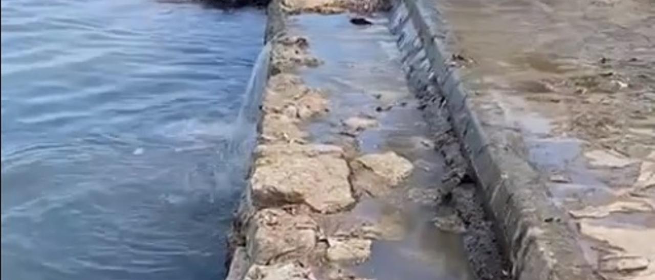 Nuevo vertido de aguas fecales en el río de Santa Eulària por un fallo eléctrico.