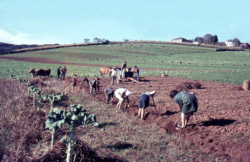 El Muséu del Pueblu d'Asturies publica el legado fotográfico de Julio Fernández Lamuño
