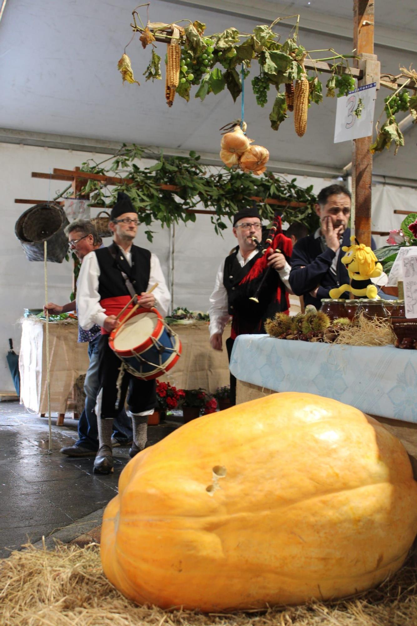 Sama celebra el III Certamen de la Huerta "Llangréu Natural"