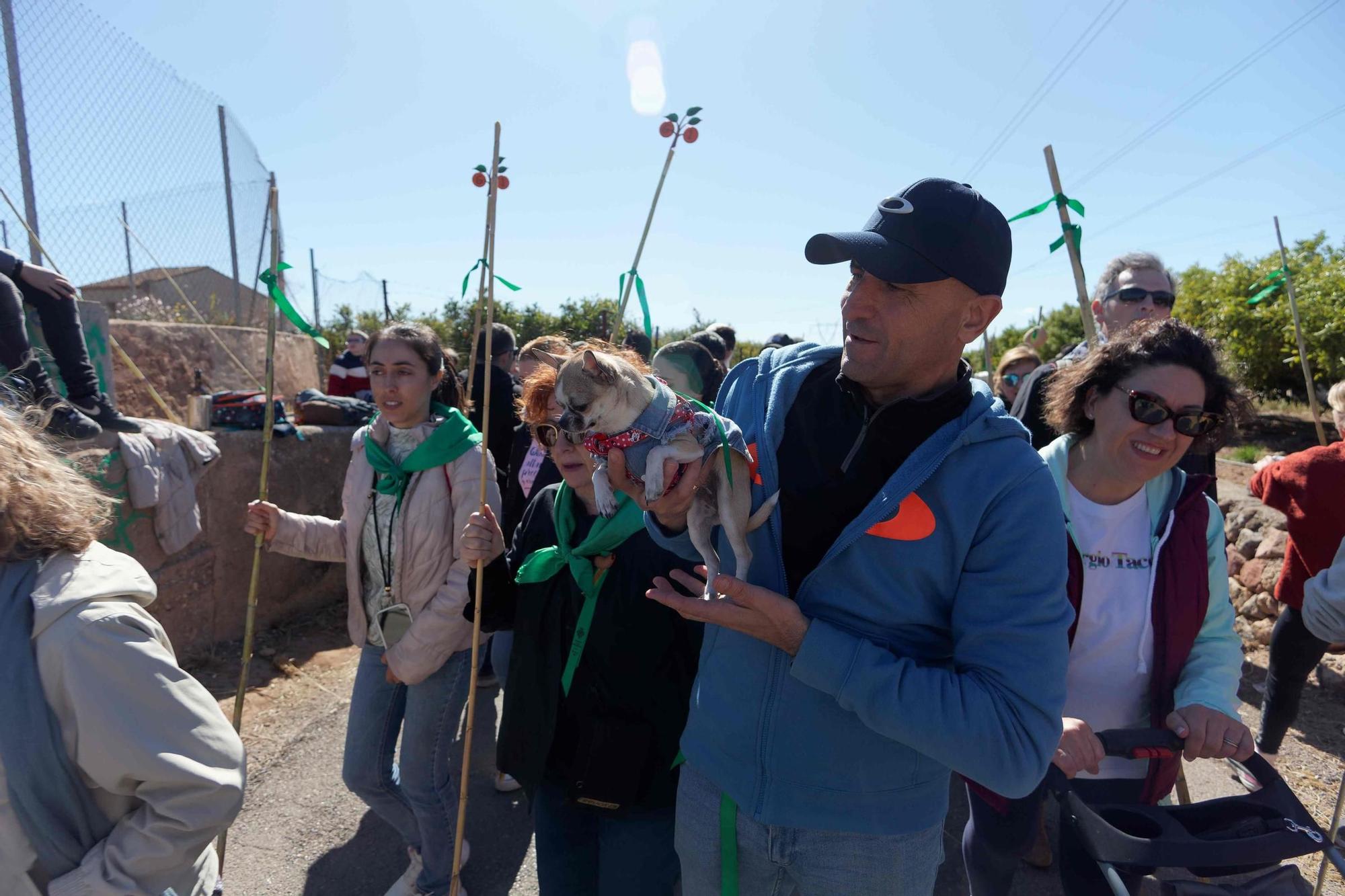 Los castellonenses rememoran sus orígenes con la Romeria