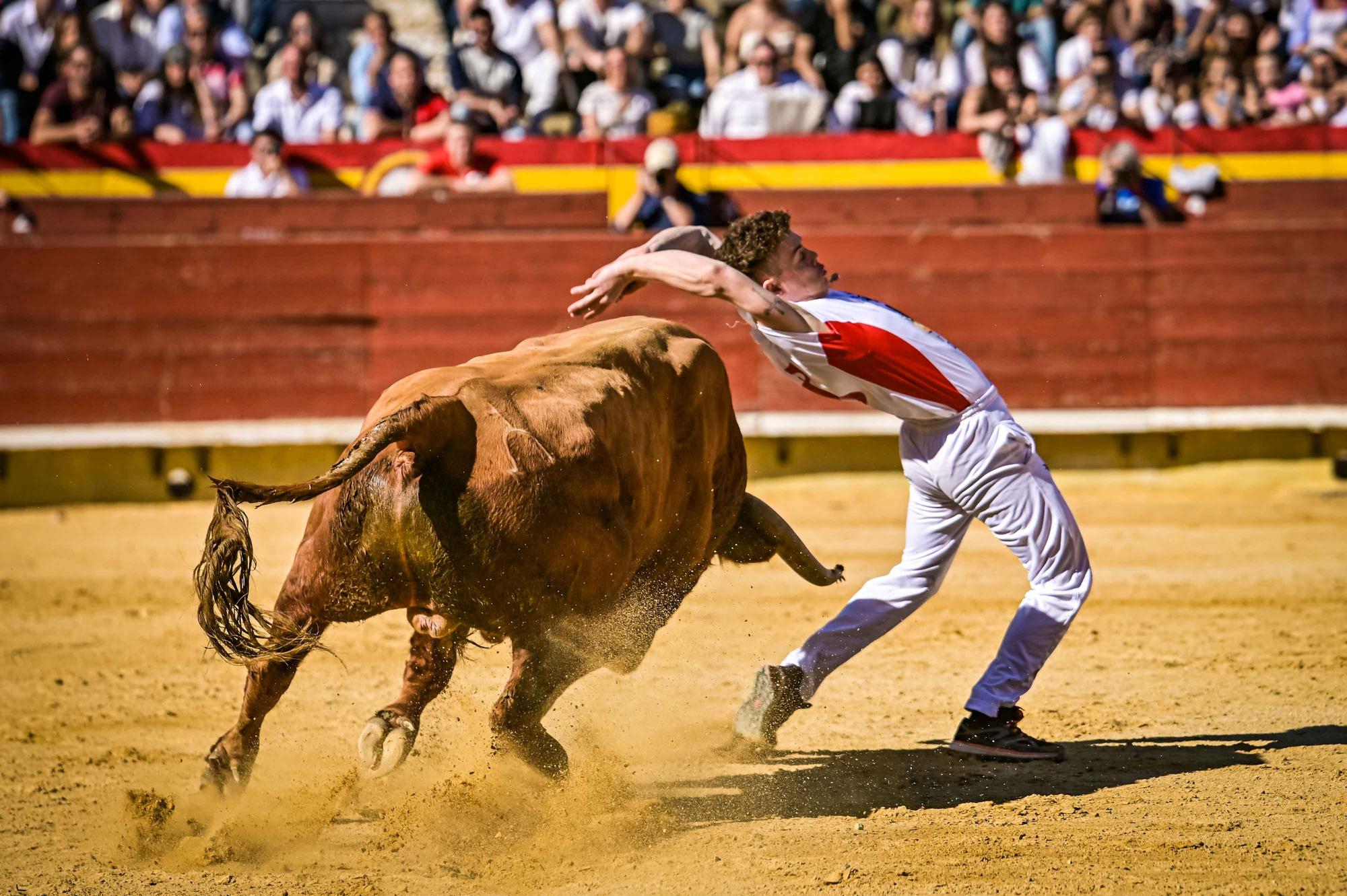 Final del campeonato de España de recortadores en Castelló